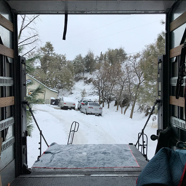 mario-moving-photo-3