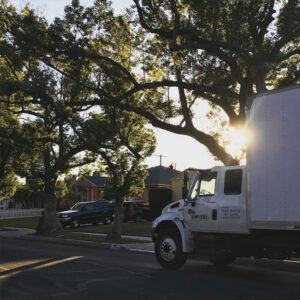 mario-moving-photo-5