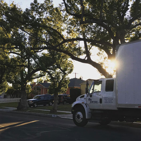 mario-moving-photo-5